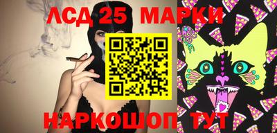 дмт Кимры