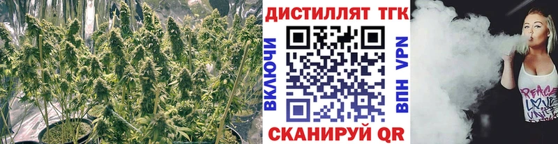 ТГК Wax Копейск